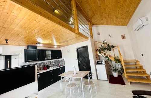 Livezeni Apartment | Reny's Studio Apartments -Hiperbara