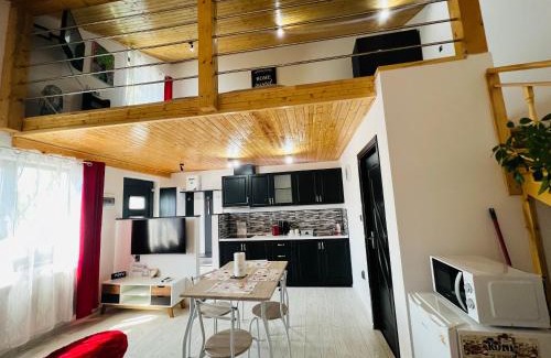 Livezeni Apartment | Reny's Studio Apartments -Hiperbara