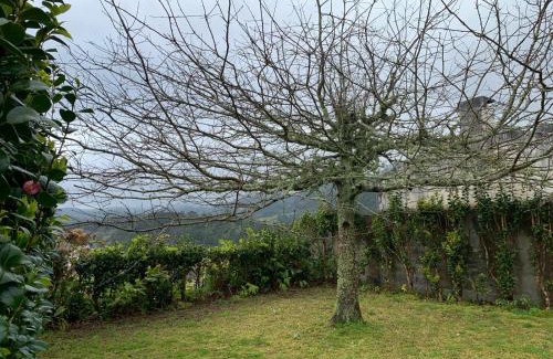 Furnas House | Residência Mariana