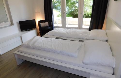 Bellwald Apartment | Residence Edelweiss C313