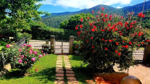 Tirli House | Respiro Toscano