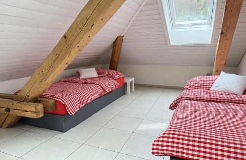 Luchsingen Apartment | Revier Attika im Hazzo