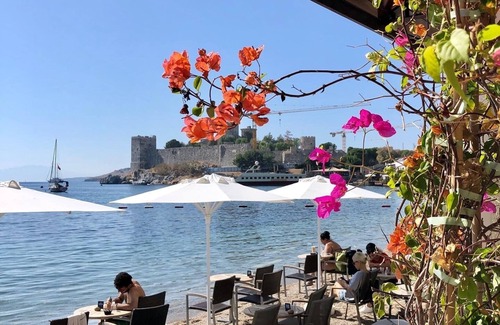 Bodrum City Center Apartment | Rhino Suite-Direct on Beach-Heartbeat-at city center-Surfer Caravan Gastro Pub