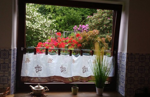 Rotenburg an der Fulda Apartment | Rhododendron vacation apartment: in the middle of the adventure forest on the Highwalk
