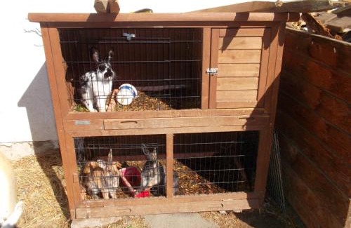 Tauer House | Riepleralm