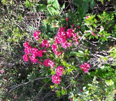 Taxenbach House | Rieserhof/Fam. Meißnitzer