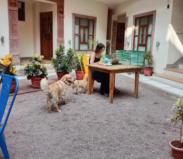 Jodhpur Hotel | Rigmor haveli