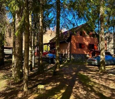 Varsag House | Riksberg Chalet in Harghita Mountains