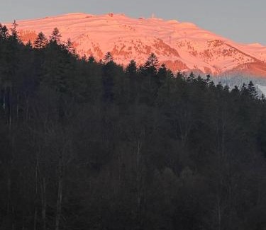Sinaia Apartment | Riky Apart Mountain View