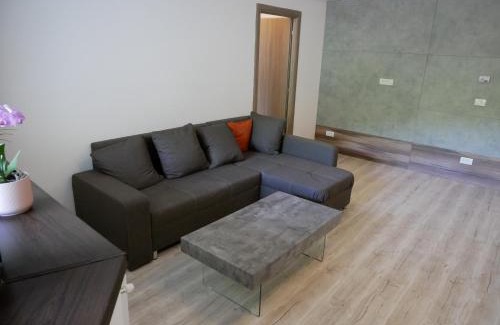 Sinaia Apartment | Riky Apart Mountain View