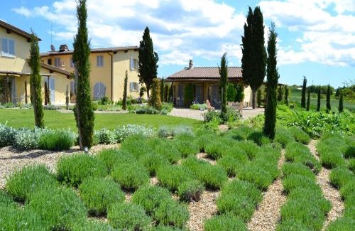 Sovicille House | Rinidia Bio