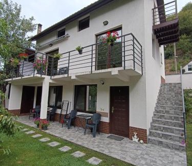 Baile Herculane House | Rio rooms