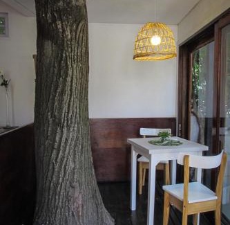 Tigre Hotel | RIO TIGRE HOTEL