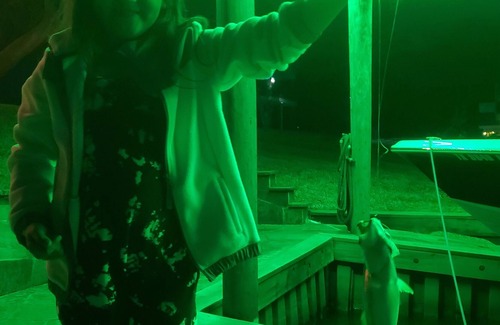 Brazoria House | River front retreat with open green space