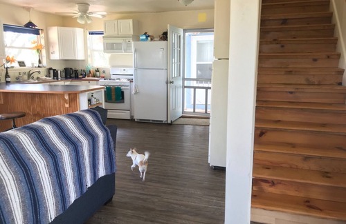 Lometa House | River House only 10 min from Colorado Bend State Park & 13min from Fiesta Winery