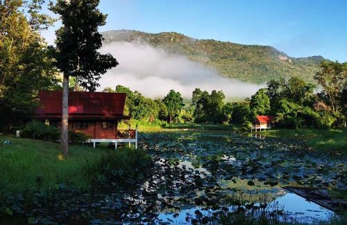 Chong Sadao Resort | River Kwai Park & Resort