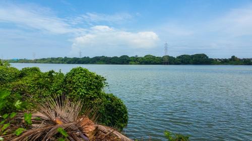 Mangalore Hotel | River View Mangalore