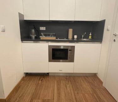 Vysehrad Apartment | Riverside apartment