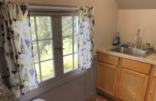 Park Rapids Apartment | Riverside Point Resort Studio Cabin 9 Loft