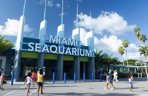 Little Haiti House | Roami | 10 min walk to Biscayne Plaza| Studio