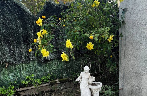 Bourges Apartment | Rob's Studio With Garden