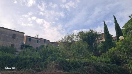 Roccatederighi Apartment | Rocca Casa