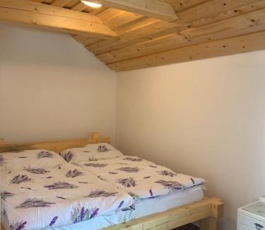 Nove Mitrovice Ski Chalet | Rodinný dům u Jacka