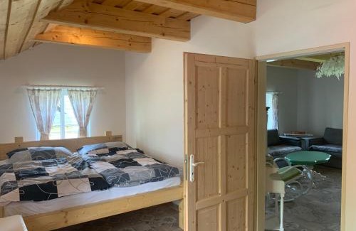 Nove Mitrovice Ski Chalet | Rodinný dům u Jacka