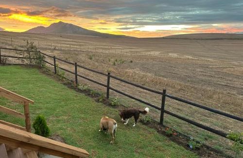 Caledon House | Rolling Hills Farmstead