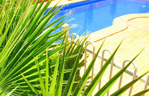Roma Hotel | Roma Mid Town Motor Inn