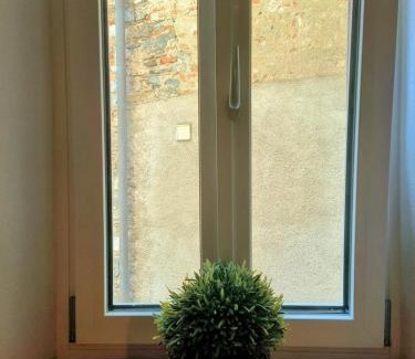 Sonvico Apartment | Romantic Court Apartment Sonvico