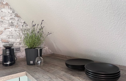 Frankenberg Apartment | "Romantic time-out at the weir - café and nature right on the doorstep"