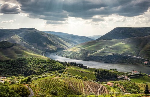 Armamar House | Romantic Villa and Vineyard with Infinity Pool over Douro Valley