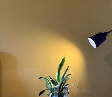 Cam Thanh Apartment | ROMITTO RIVERSIDE in HOI AN POOL VILLA