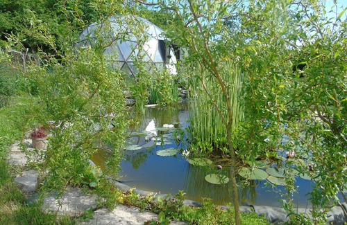 Wassy House | Room in dormitory caravan