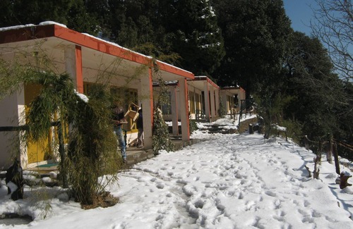 Pangot House | Room-janardan Resort Pangot, Nainital