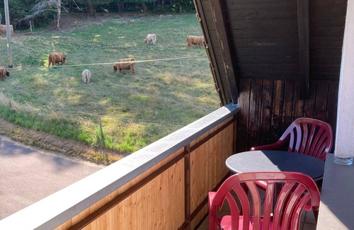 Muehlenbach Apartment | Room 'No. 4 with Private Balcony', Shared Terrace, Garden & Wi-Fi