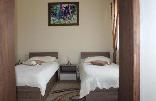 Leticani Bed & Breakfast | Rooms & Apartment Vinia