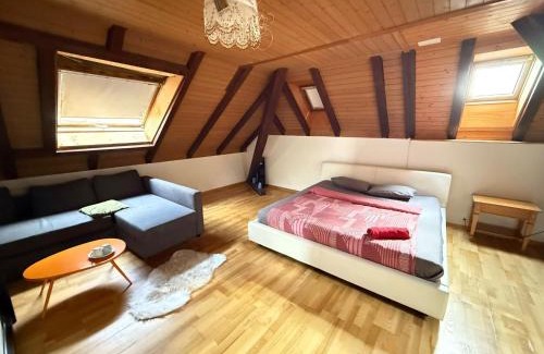 Bolligen Apartment | Rooms for rent in Bolligen