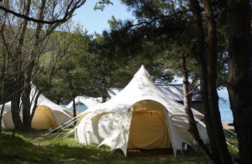 Inawashiro Other | Roots inawashiro Lake Area