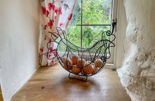 Dawlish Cottage | Rose Cottage in Holcombe