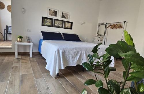 Teulada House | Rose e fiori