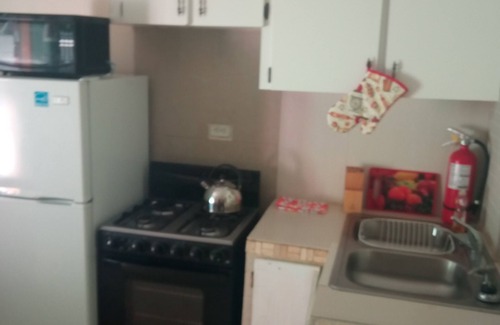 Downtown Nassau Apartment | Rose Overlook @ 140 West Street Unit #5