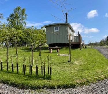 Carlton-in-Cleveland Other | Rosemary Shepherds Hut, Clay Bank Huts