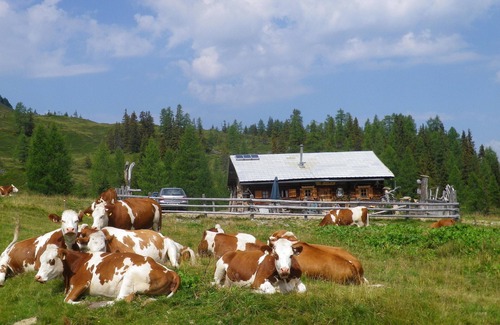 Grossarl Apartment | Rosensteingut