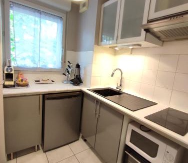 Roseraie Apartment | Roseraie T2 Wifi Parking Clim