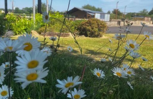 Magherafelt Other | Rosgarron Safari Canvas Lodge Glorious Glamping