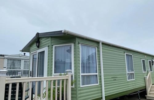 Newton Stewart Other | Rosie