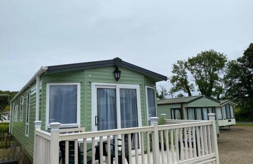 Newton Stewart Other | Rosie