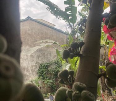 Ha Giang House | ROSIE HOMESTAY Hà Giang